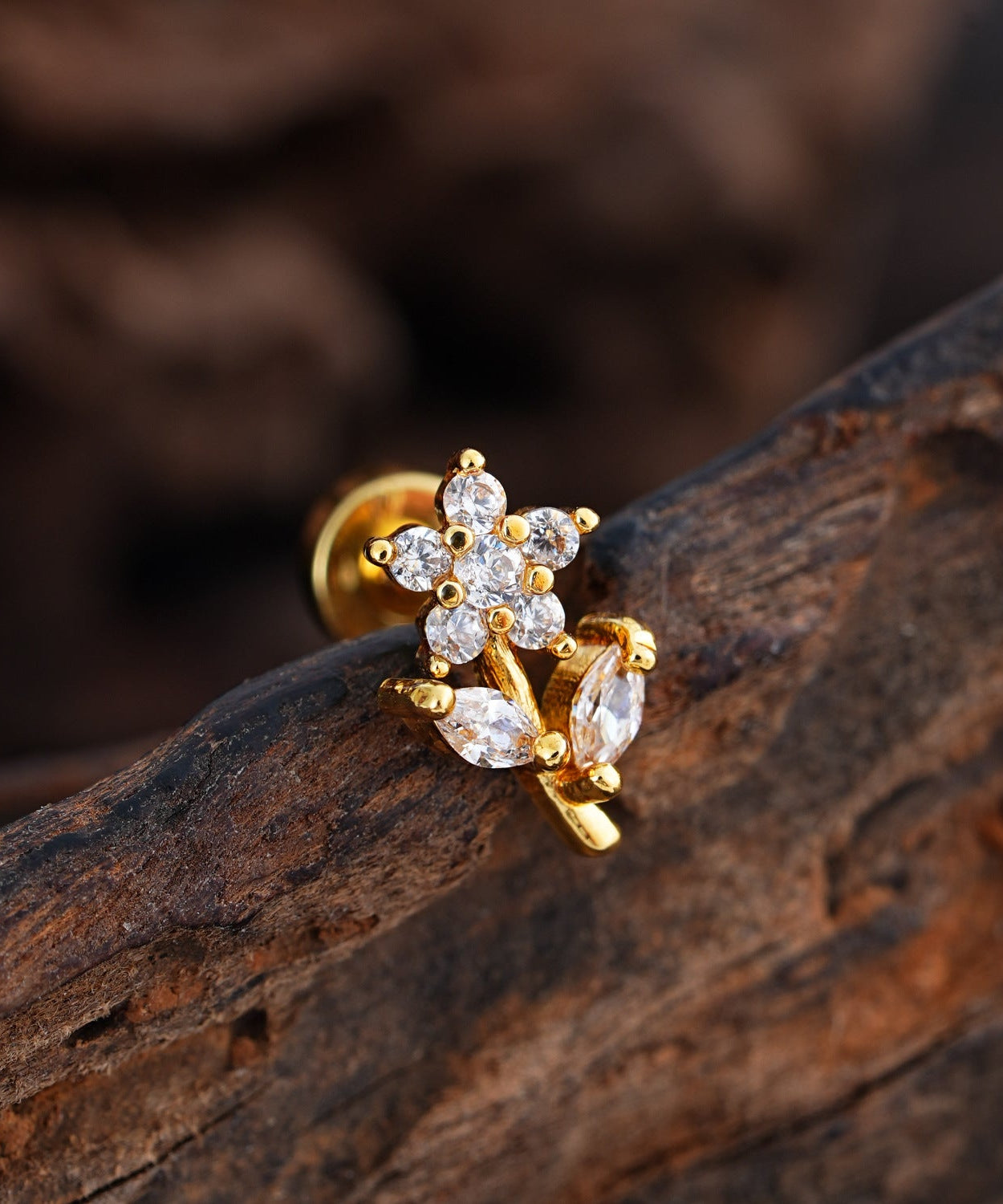 Enchanted Shine